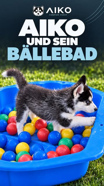 Aiko in seinem Alltag, aus seinem Instagram-Feed